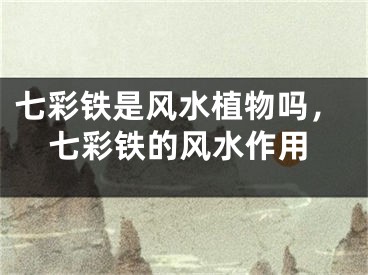 七彩铁是风水植物吗，七彩铁的风水作用