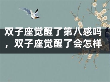 双子座觉醒了第八感吗，双子座觉醒了会怎样