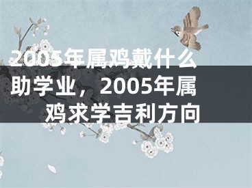2005年属鸡戴什么助学业，2005年属鸡求学吉利方向