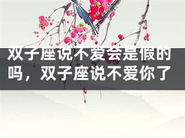 双子座说不爱会是假的吗，双子座说不爱你了
