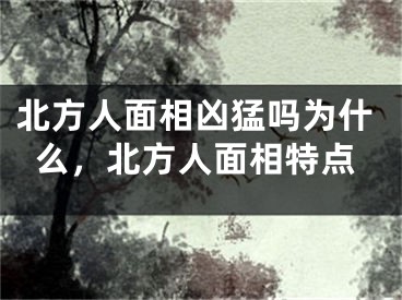 北方人面相凶猛吗为什么，北方人面相特点