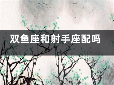 双鱼座和射手座配吗