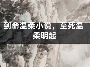 到命温柔小说，至死温柔明起