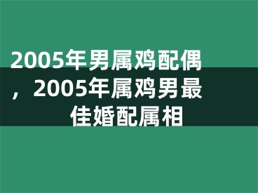 2005年男属鸡配偶,2005年属鸡男最佳婚配属相