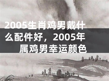 2005生肖鸡男戴什么配件好,2005年属鸡男幸运颜色