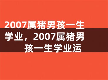 2007属猪男孩一生学业,2007属猪男孩一生学业运