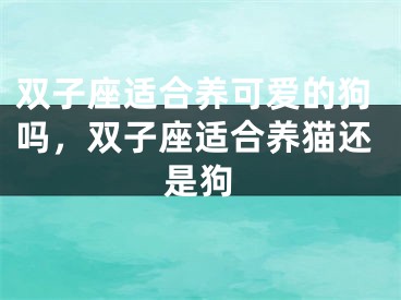 双子座适合养可爱的狗吗，双子座适合养猫还是狗