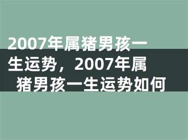 2007年属猪男孩一生运势，2007年属猪男孩一生运势如何