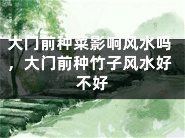 大门前种菜影响风水吗，大门前种竹子风水好不好