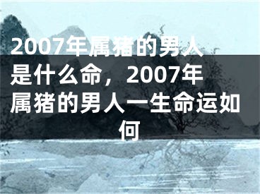 2007年属猪的男人是什么命,2007年属猪的男人一生命运如何