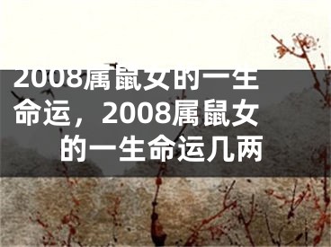 2008属鼠女的一生命运,2008属鼠女的一生命运几两