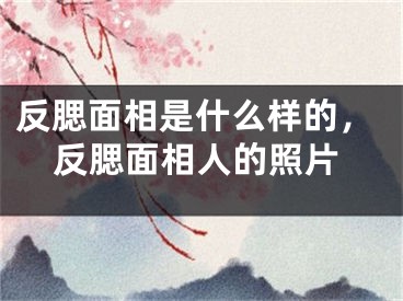 反腮面相是什么样的，反腮面相人的照片