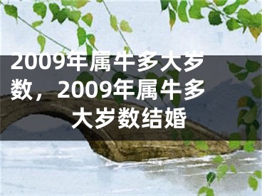 2009年属牛多大岁数，2009年属牛多大岁数结婚