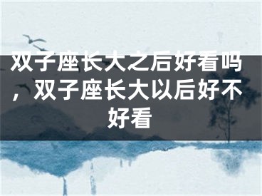 双子座长大之后好看吗，双子座长大以后好不好看