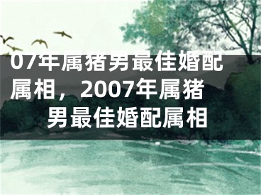 07年属猪男最佳婚配属相，2007年属猪男最佳婚配属相