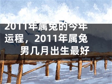 2011年属兔的今年运程，2011年属兔男几月出生最好