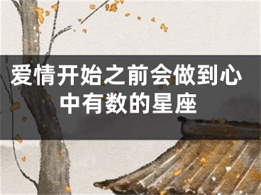 爱情开始之前会做到心中有数的星座