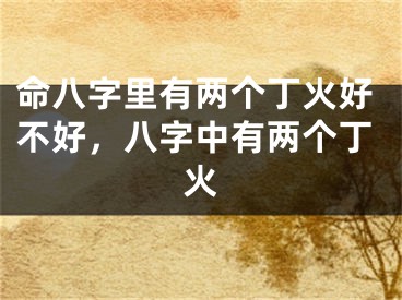 命八字里有两个丁火好不好，八字中有两个丁火