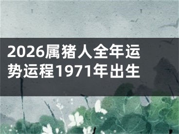 2026属猪人全年运势运程1971年出生