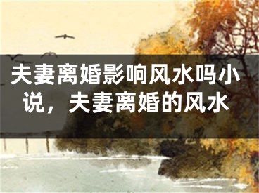 夫妻离婚影响风水吗小说,夫妻离婚的风水