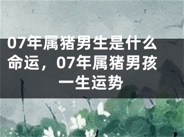 07年属猪男生是什么命运，07年属猪男孩一生运势