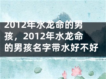 2012年水龙命的男孩，2012年水龙命的男孩名字带水好不好