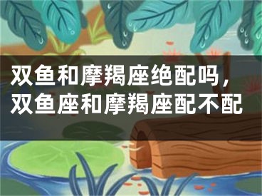 双鱼和摩羯座绝配吗，双鱼座和摩羯座配不配