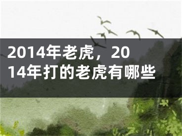 2014年老虎，2014年打的老虎有哪些