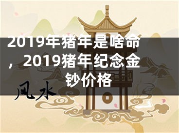 2019年猪年是啥命，2019猪年纪念金钞价格