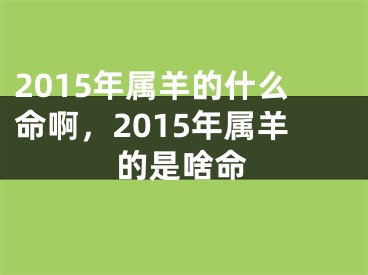 2015年属羊的什么命啊，2015年属羊的是啥命