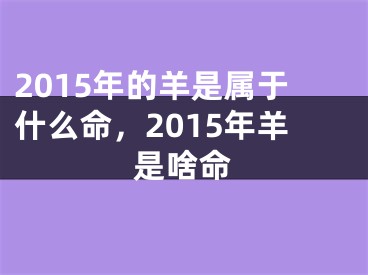 2015年的羊是属于什么命，2015年羊是啥命
