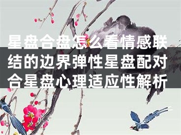 星盘合盘怎么看情感联结的边界弹性星盘配对合星盘心理适应性解析
