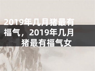 2019年几月猪最有福气，2019年几月猪最有福气女