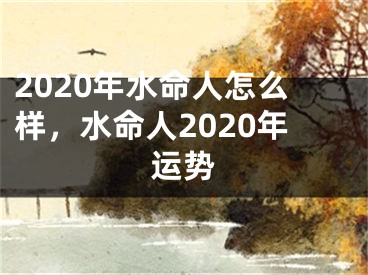 2020年水命人怎么样，水命人2020年运势
