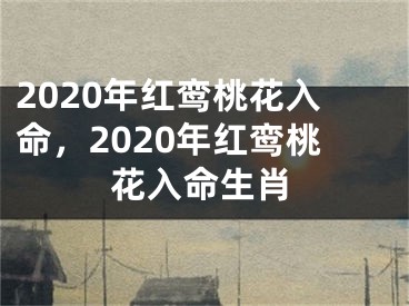 2020年红鸾桃花入命，2020年红鸾桃花入命生肖