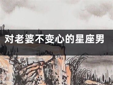 对老婆不变心的星座男