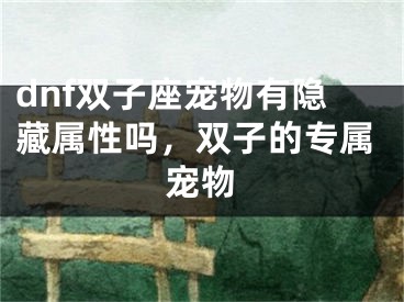 dnf双子座宠物有隐藏属性吗，双子的专属宠物
