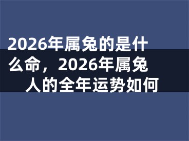 2026年属兔的是什么命，2026年属兔人的全年运势如何