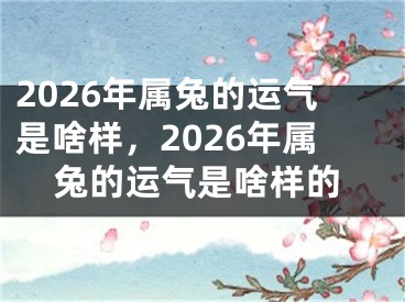 2026年属兔的运气是啥样，2026年属兔的运气是啥样的
