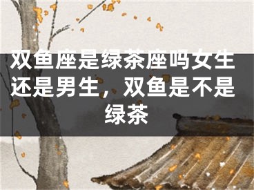 双鱼座是绿茶座吗女生还是男生，双鱼是不是绿茶