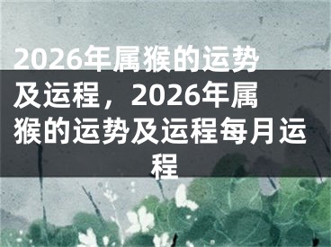 2026年属猴的运势及运程，2026年属猴的运势及运程每月运程