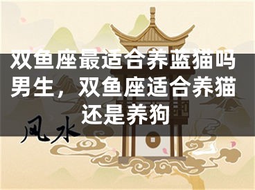 双鱼座最适合养蓝猫吗男生，双鱼座适合养猫还是养狗