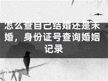 怎么查自己结婚还是未婚，身份证号查询婚姻记录