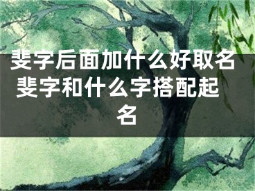 斐字后面加什么好取名 斐字和什么字搭配起名