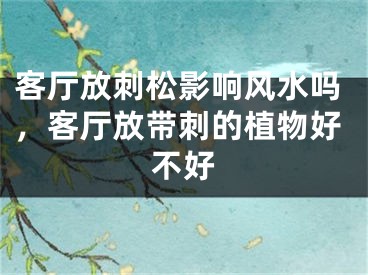 客厅放刺松影响风水吗，客厅放带刺的植物好不好