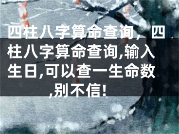 四柱八字算命查询，四柱八字算命查询,输入生日,可以查一生命数,别不信!