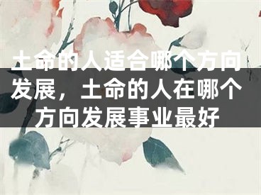 土命的人适合哪个方向发展，土命的人在哪个方向发展事业最好