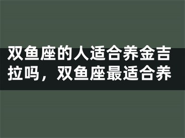 双鱼座的人适合养金吉拉吗，双鱼座最适合养