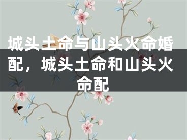 城头土命与山头火命婚配,城头土命和山头火命配