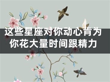这些星座对你动心肯为你花大量时间跟精力